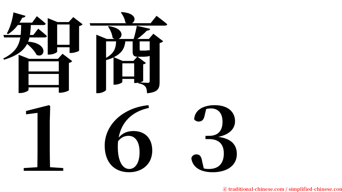 智商　　１６３ serif font